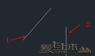55.png